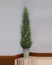 Calanque Cedar Pine Tree — studio packshot, artificial cedar pine tree