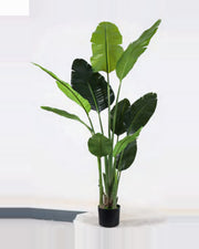 Oustau Travelers Palm Tree — studio packshot, artificial travelers palm tree