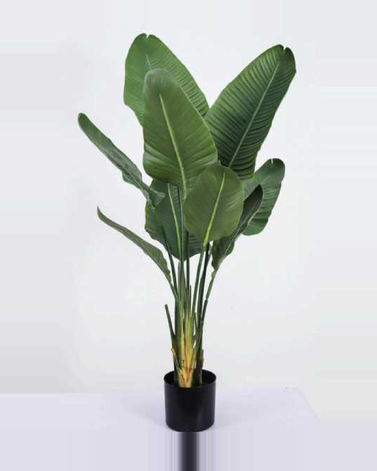 Cabanon Travelers Palm Tree — studio packshot, artificial travelers palm tree