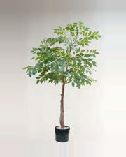 Vera Sumac Potted Tree — studio packshot, artificial sumac potted tree