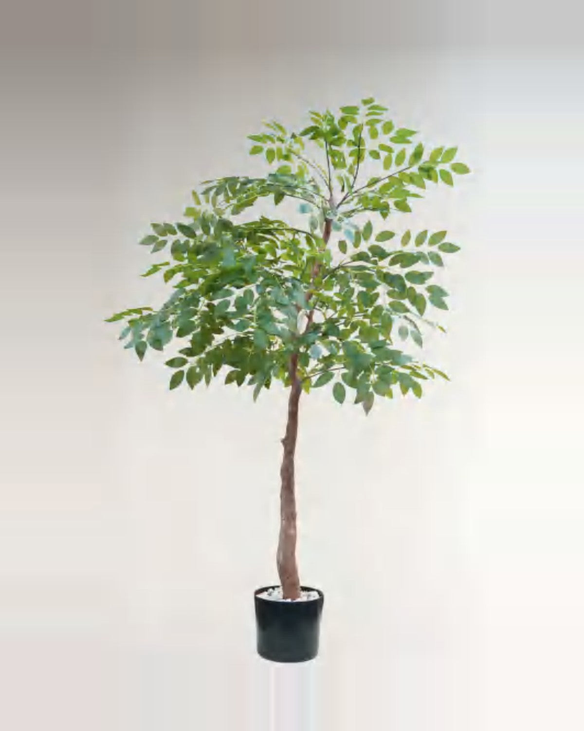Vera Sumac Potted Tree — studio packshot, artificial sumac potted tree