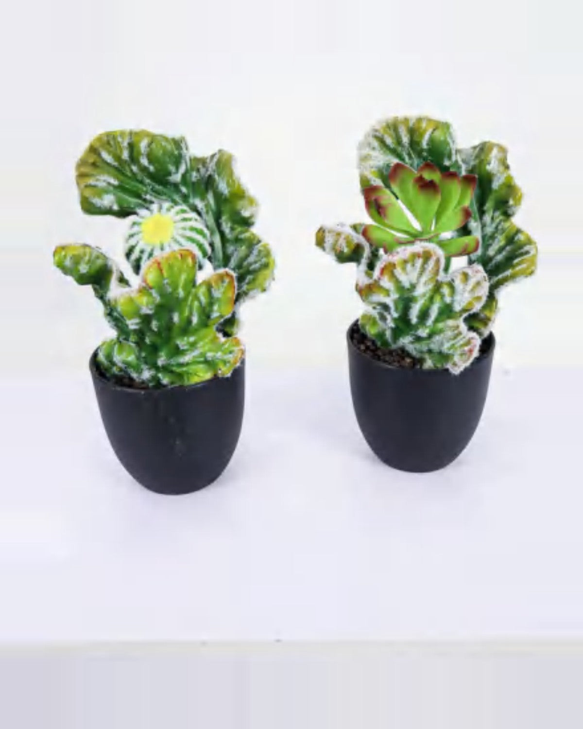 Terra Coral Cactus Euphorbia Plant — studio packshot, artificial coral cactus euphorbia plant