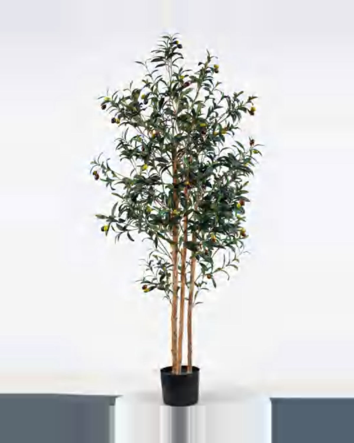 Ancona Olive Tree — studio packshot, artificial olive tree