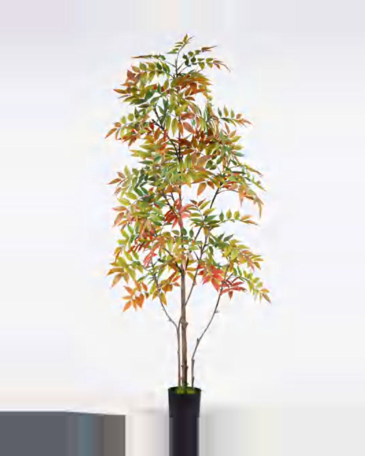 Onda Lacquer Tree — studio packshot, artificial lacquer tree