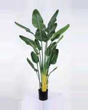 Lauze Travelers Palm Tree — studio packshot, artificial travelers palm tree