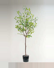 Alma Leaf Ficus Tree — studio packshot, artificial leaf ficus tree