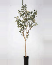 Alma Eucalyptus Tree — studio packshot, artificial eucalyptus tree