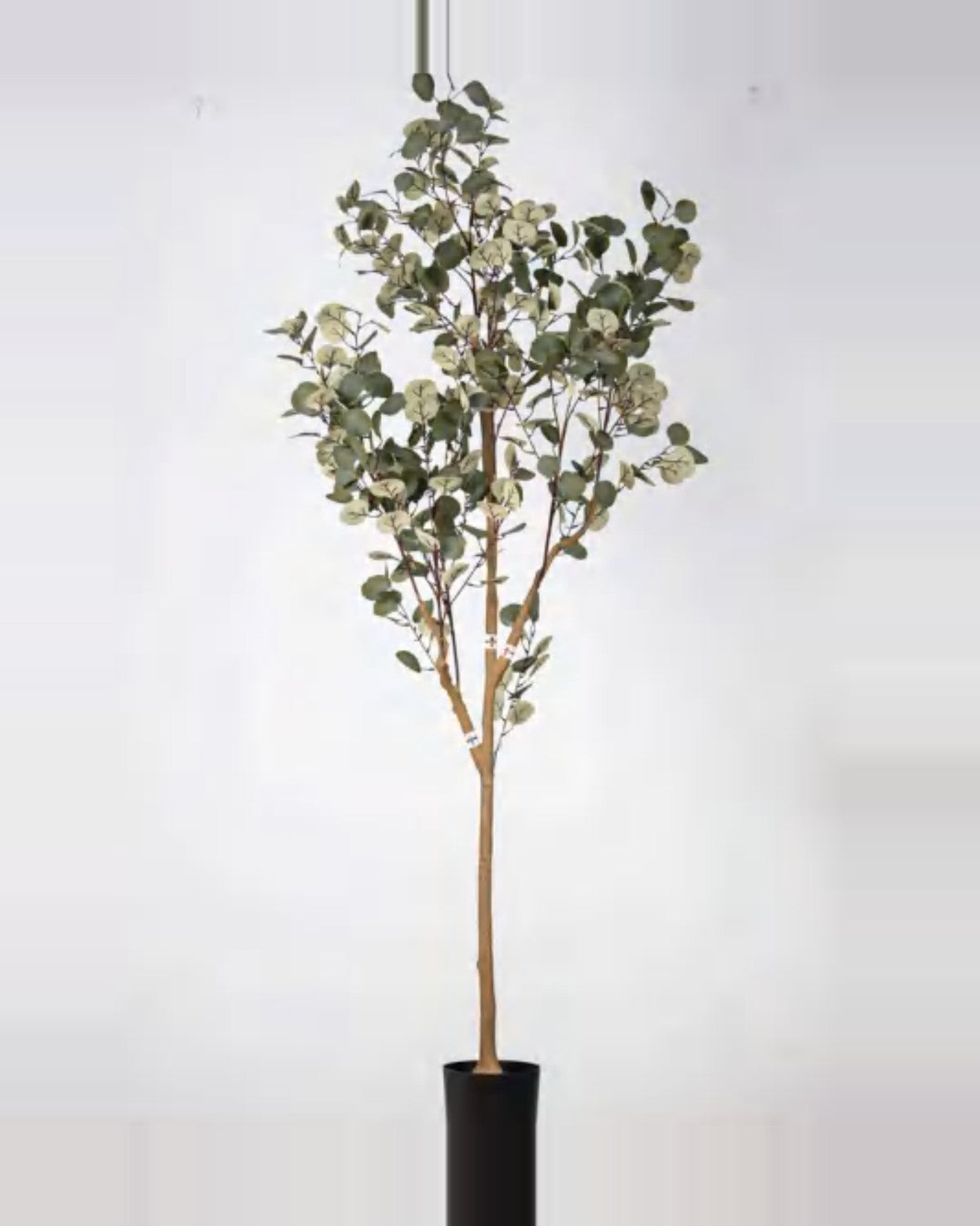 Alma Eucalyptus Tree — studio packshot, artificial eucalyptus tree