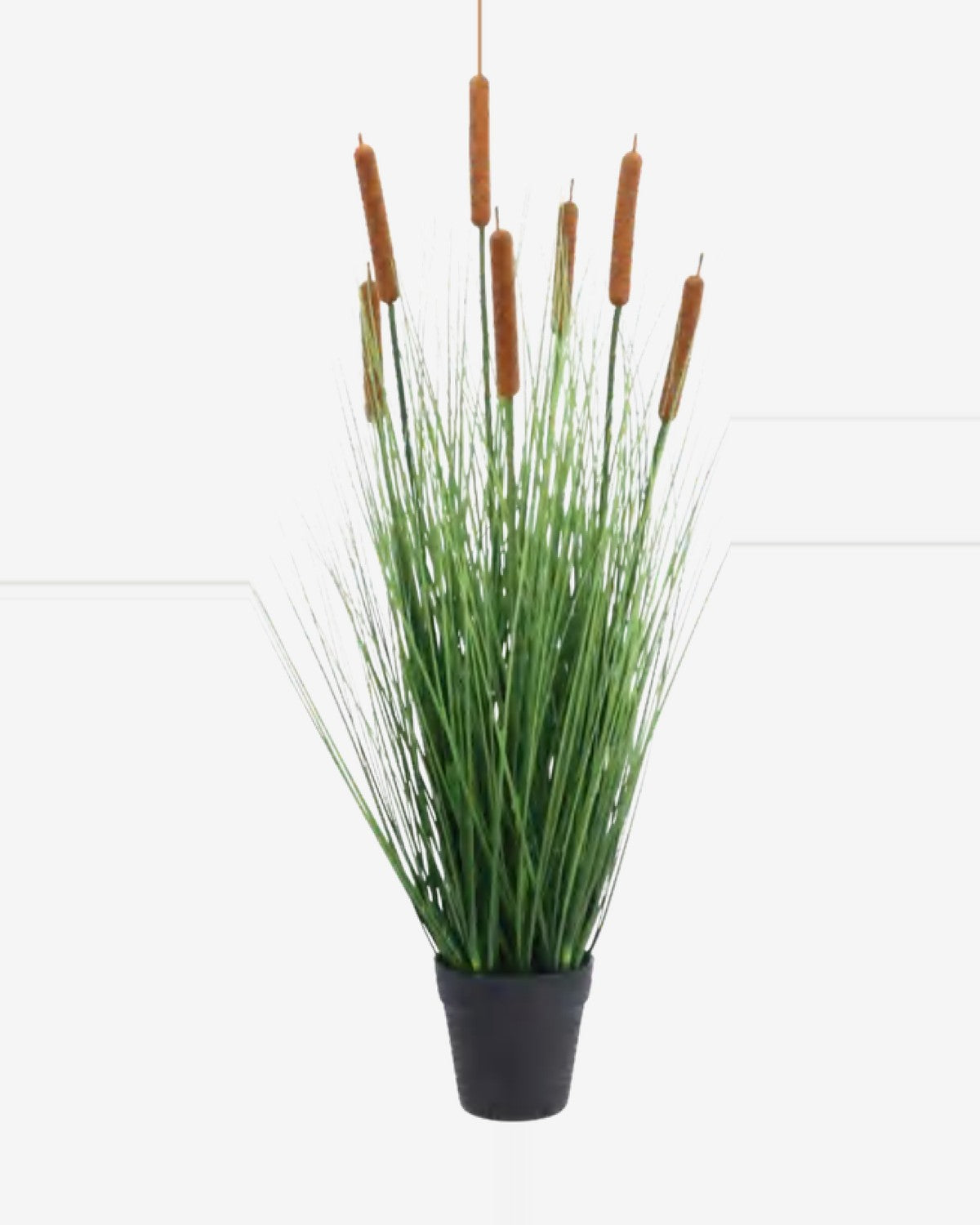 Riva Cattail Grass — studio packshot, artificial cattail grass