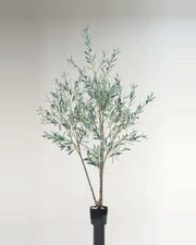 Taormina Olive Tree — studio packshot, artificial olive tree