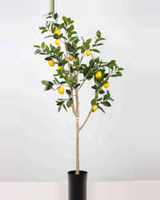 Pietra Lemon Tree — studio packshot, artificial lemon tree