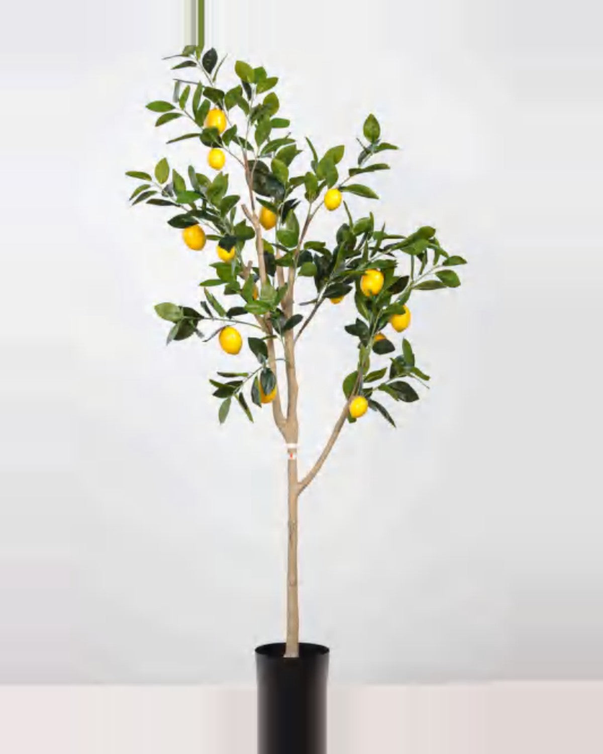 Pietra Lemon Tree — studio packshot, artificial lemon tree