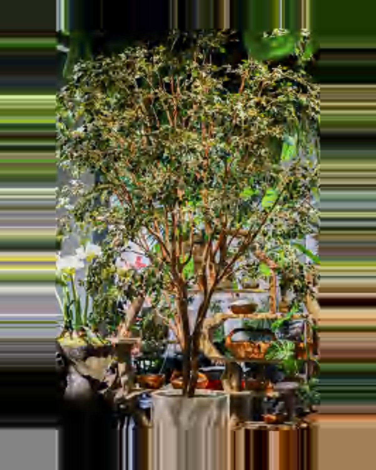 Onda Banyan Tree — studio packshot, artificial banyan tree