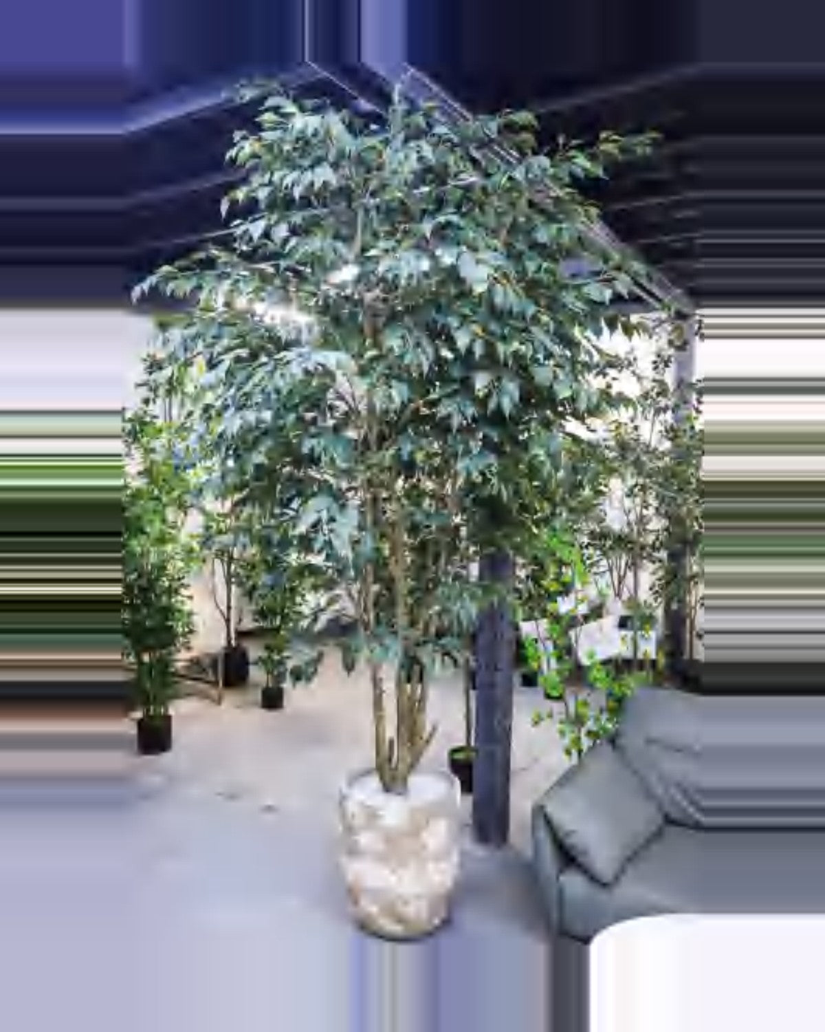 Aria Ficus Tree — studio packshot, artificial ficus tree