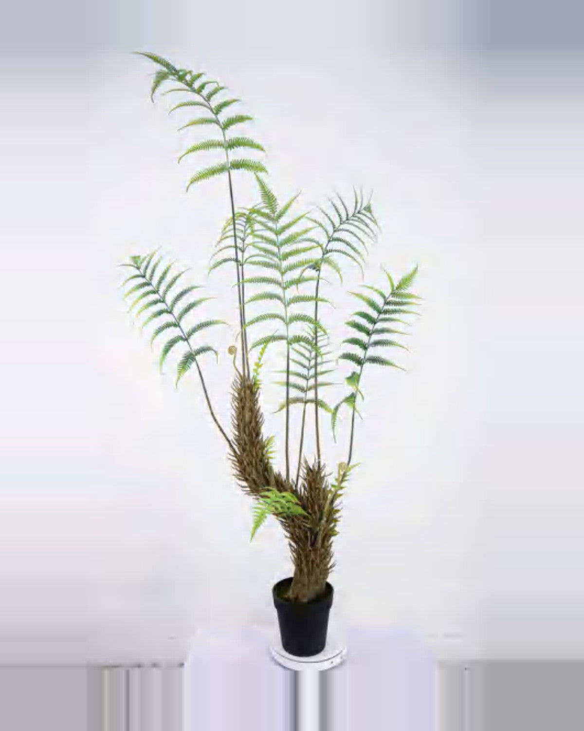 Farigoule Boston Fern Plant — studio packshot, artificial boston fern plant