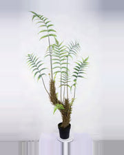 Farigoule Boston Fern Plant — studio packshot, artificial boston fern plant