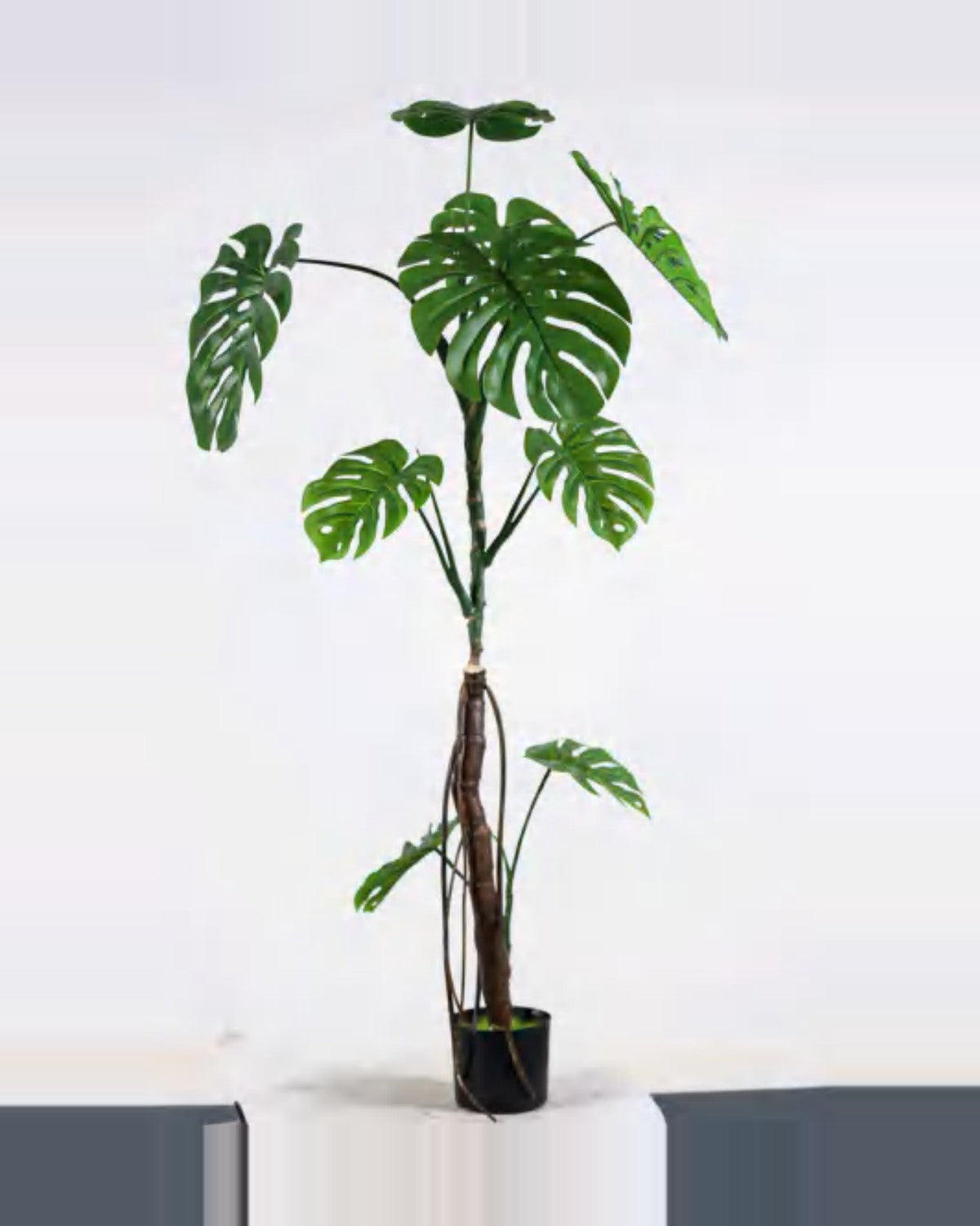 Rosa Monstera Plant — studio packshot, artificial monstera plant