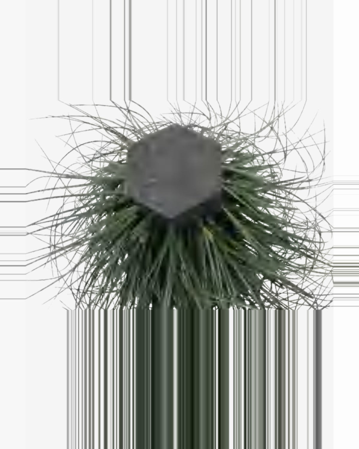 Cedre Onion Grass — studio packshot, artificial onion grass
