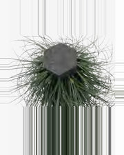 Cedre Onion Grass — studio packshot, artificial onion grass