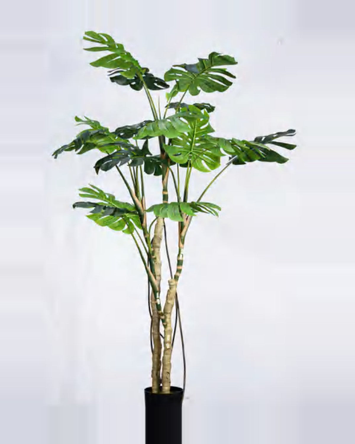 Ambra Monstera Plant — studio packshot, artificial monstera plant