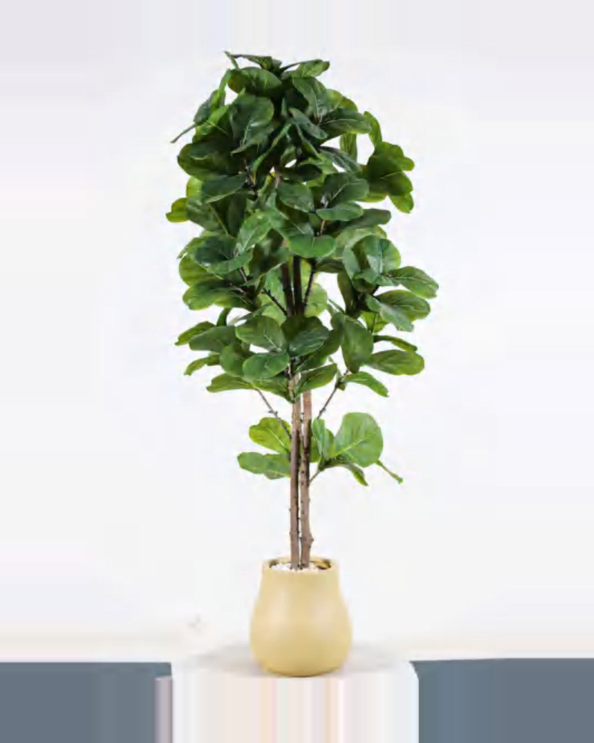 Clapas Fiddle Leaf Fig Tree — studio packshot, artificial fiddle leaf fig tree