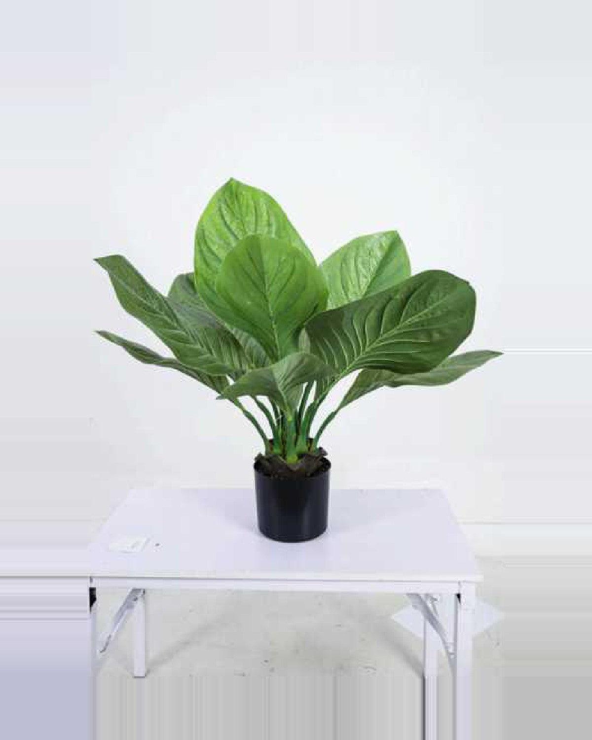 Alma Tropical Plants — studio packshot, artificial tropical plants