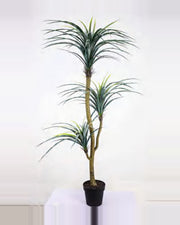 Estive Dracaena Plant — studio packshot, artificial dracaena plant