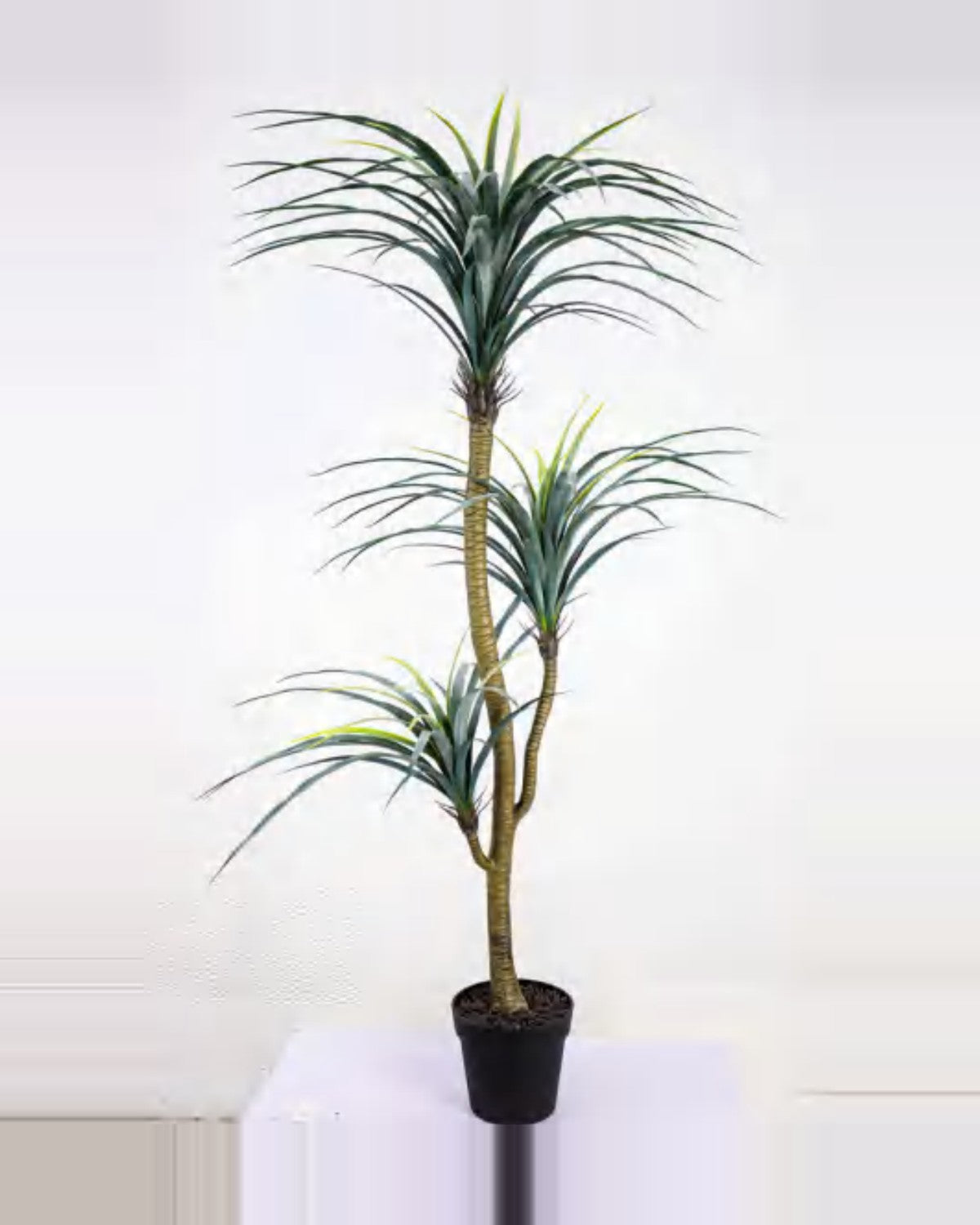 Estive Dracaena Plant — studio packshot, artificial dracaena plant