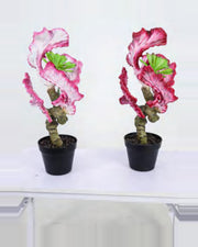 Sole Coral Cactus Plant — studio packshot, artificial coral cactus plant