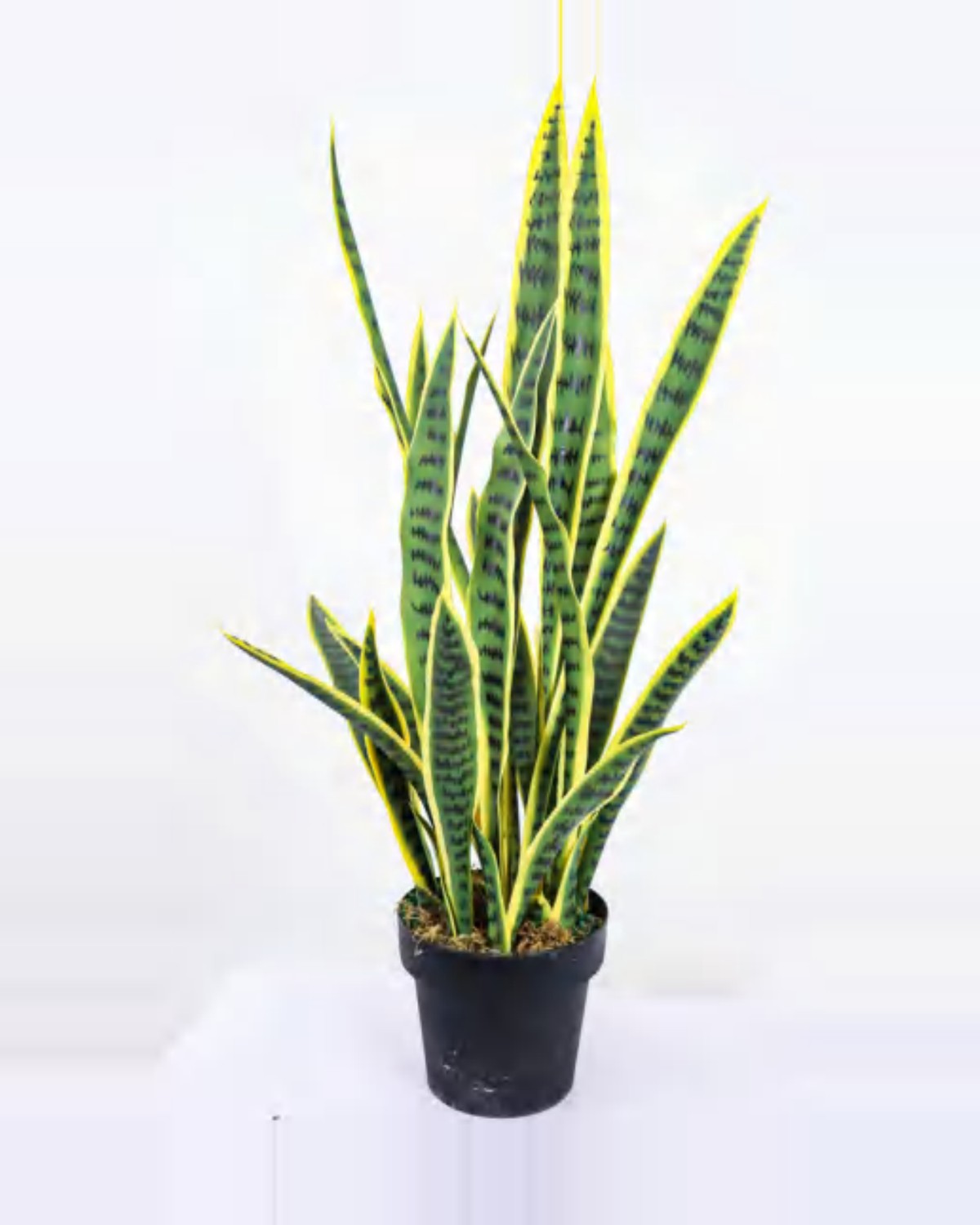 Oustau Snake Plant — studio packshot, artificial snake plant