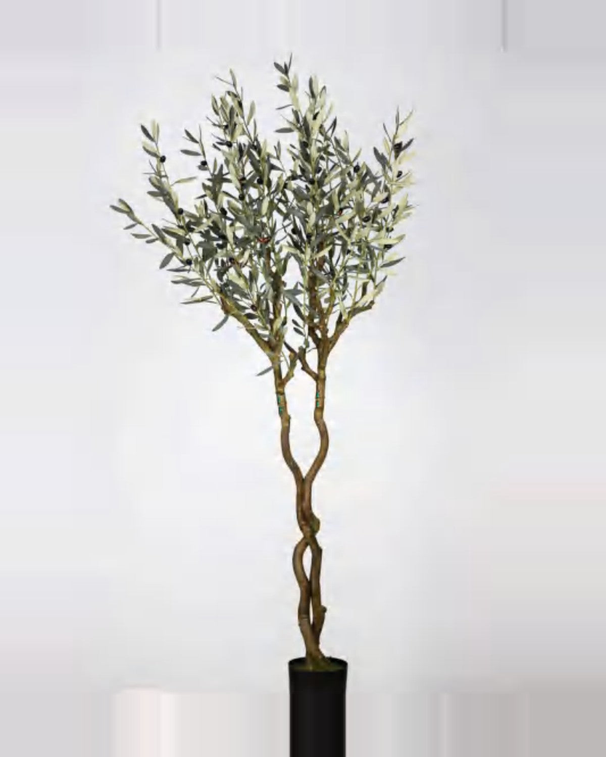 Portofino Olive Tree — studio packshot, artificial olive tree