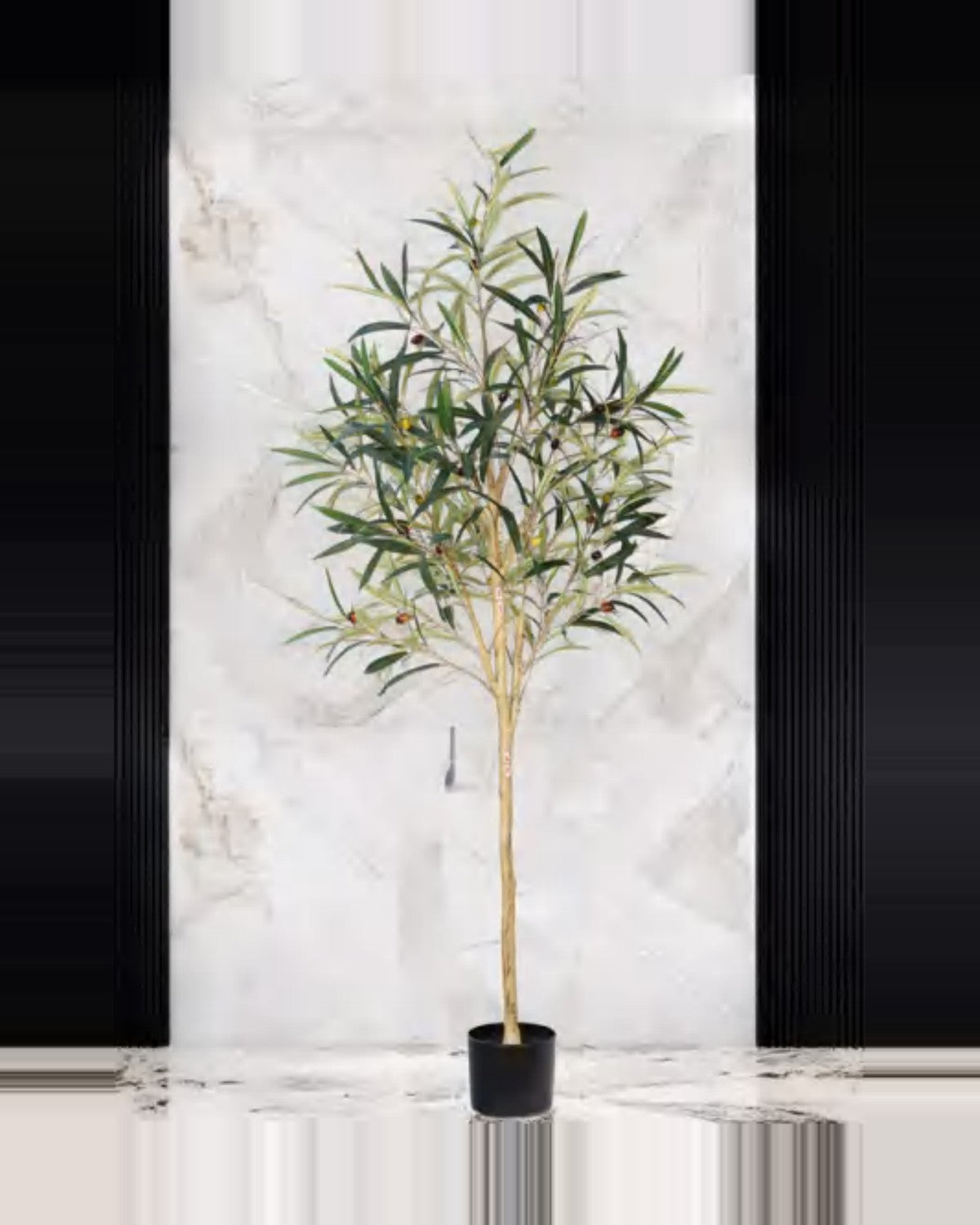 Gallipoli Olive Tree — studio packshot, artificial olive tree