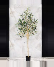 Gallipoli Olive Tree — studio packshot, artificial olive tree