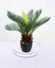 Lauze Sago Palm — studio packshot, artificial sago palm