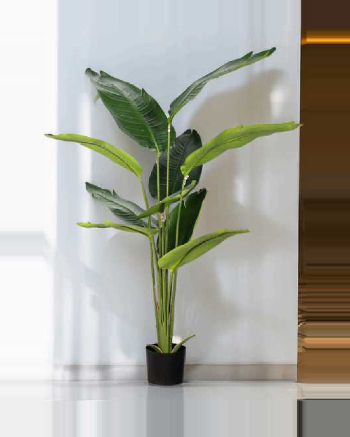 Calanque Travelers Palm Tree — studio packshot, artificial travelers palm tree