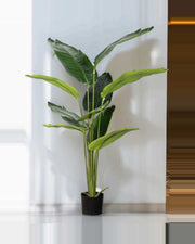 Calanque Travelers Palm Tree — studio packshot, artificial travelers palm tree