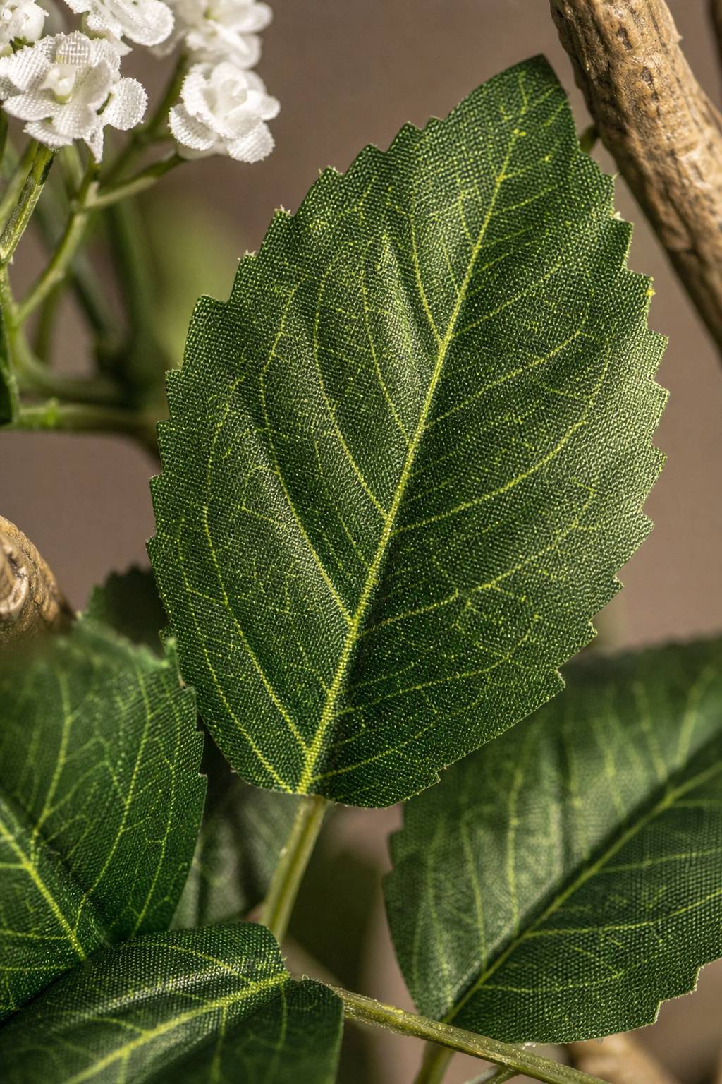 Maison Moya - Hydrangea Potted Flowering Plant - closeup surface