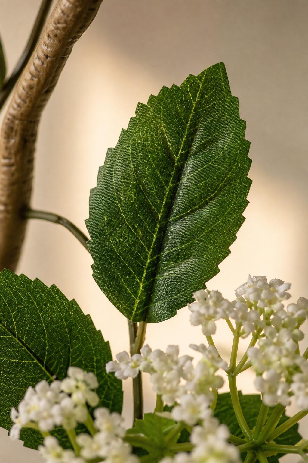 Maison Moya - Hydrangea Potted Flowering Plant - closeup detail