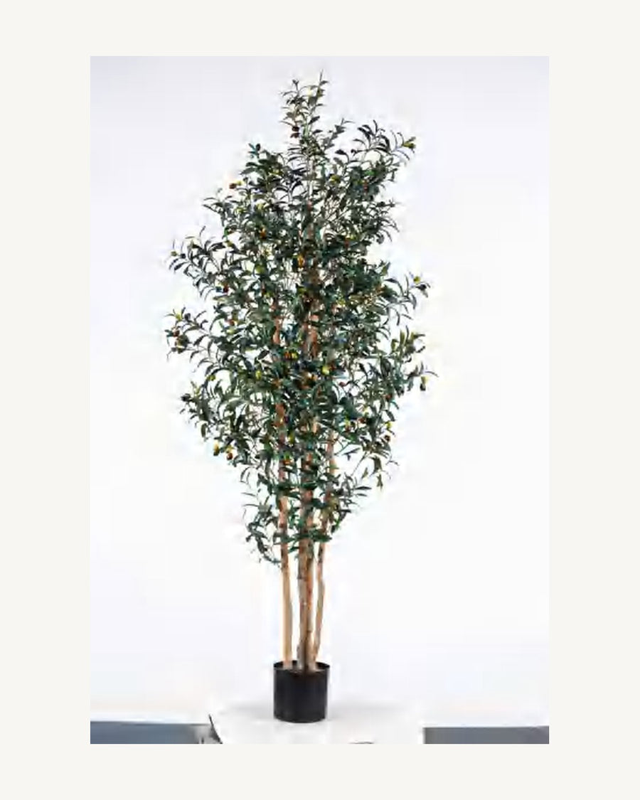 Ibiza Artificial Olive Tree, 82.6 in