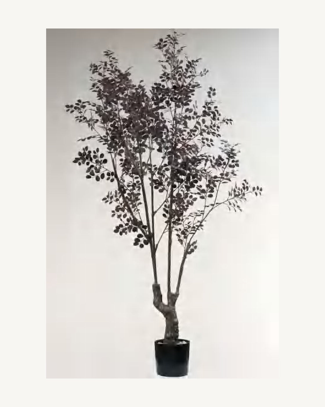 Ischia Artificial Decorative Tree, full product studio view in the included nursery pot