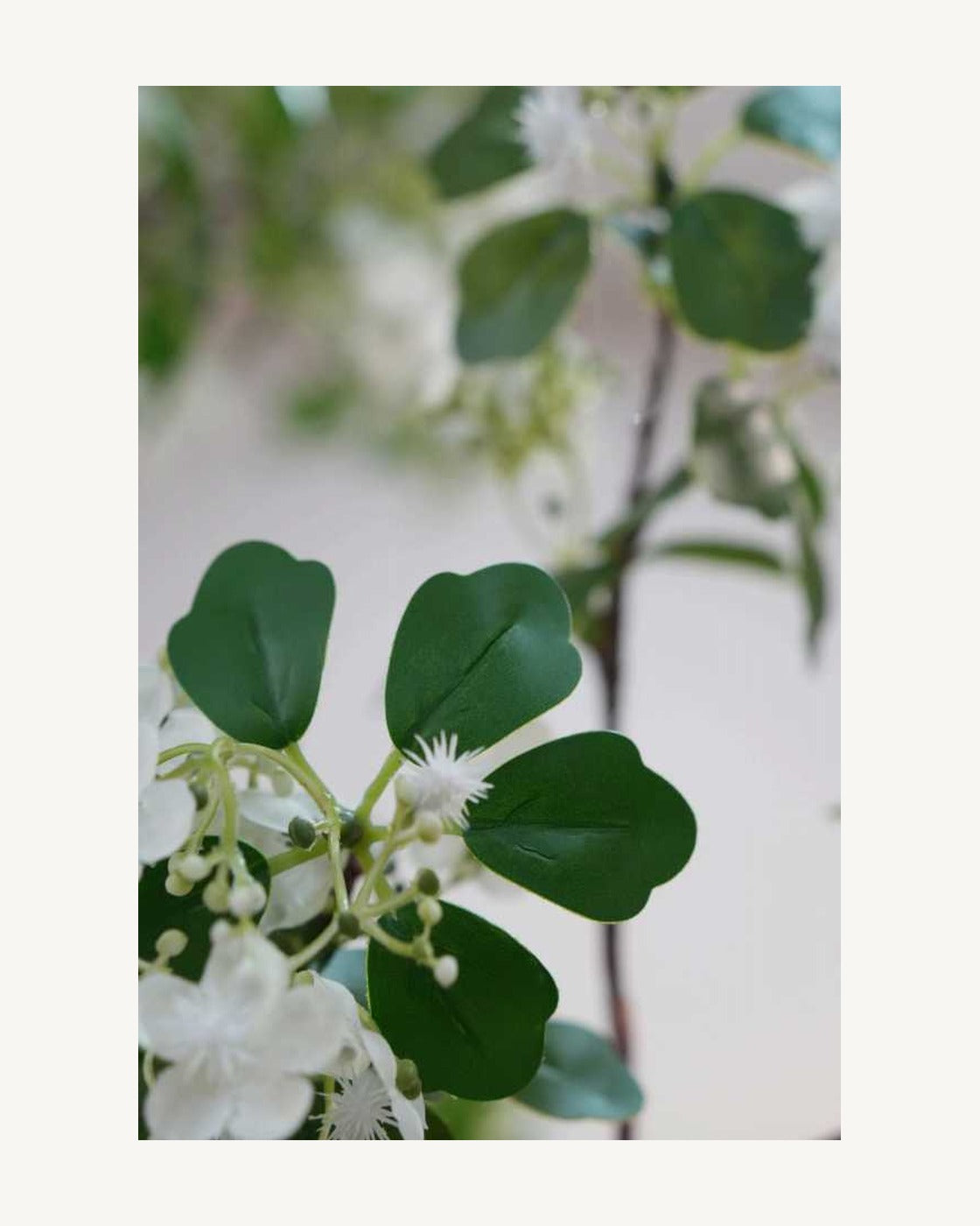 Ischia Artificial Dogwood Tree, full product studio view in the included nursery pot