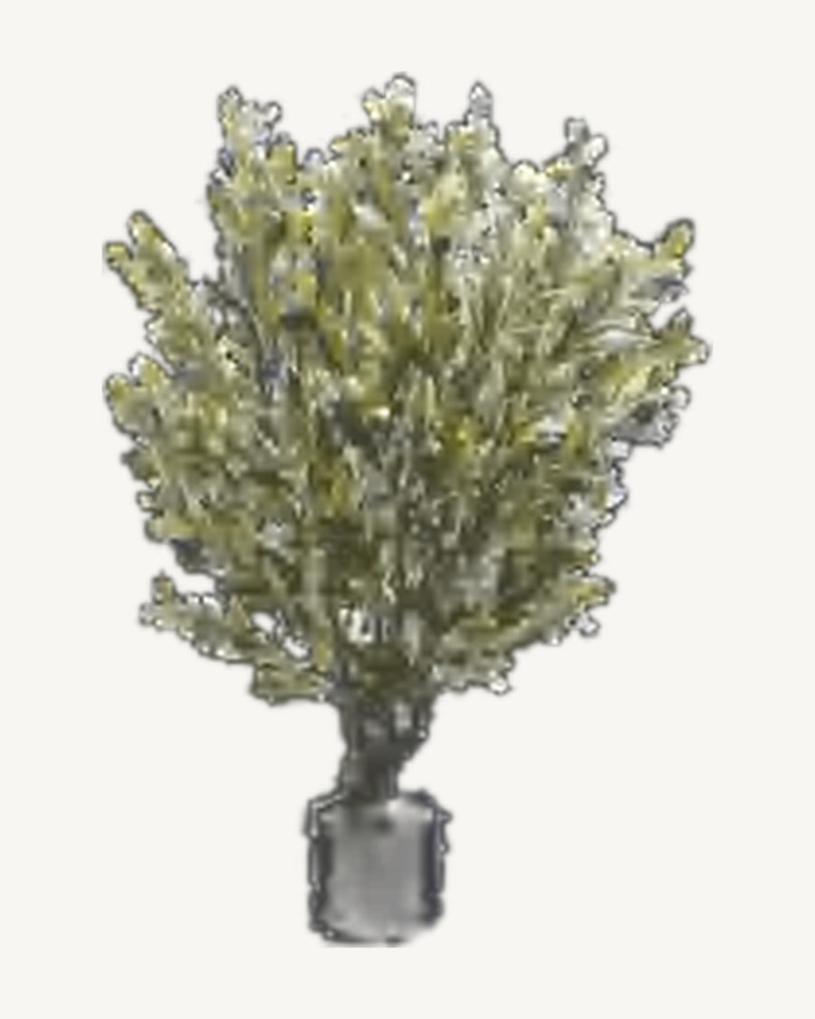 Ischia Artificial Olive Tree, 35.4 in
