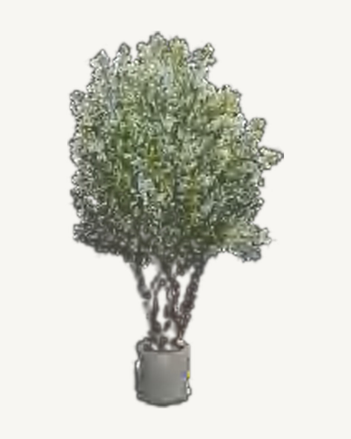 Lecce Artificial Olive Tree, full product studio view in the included nursery pot