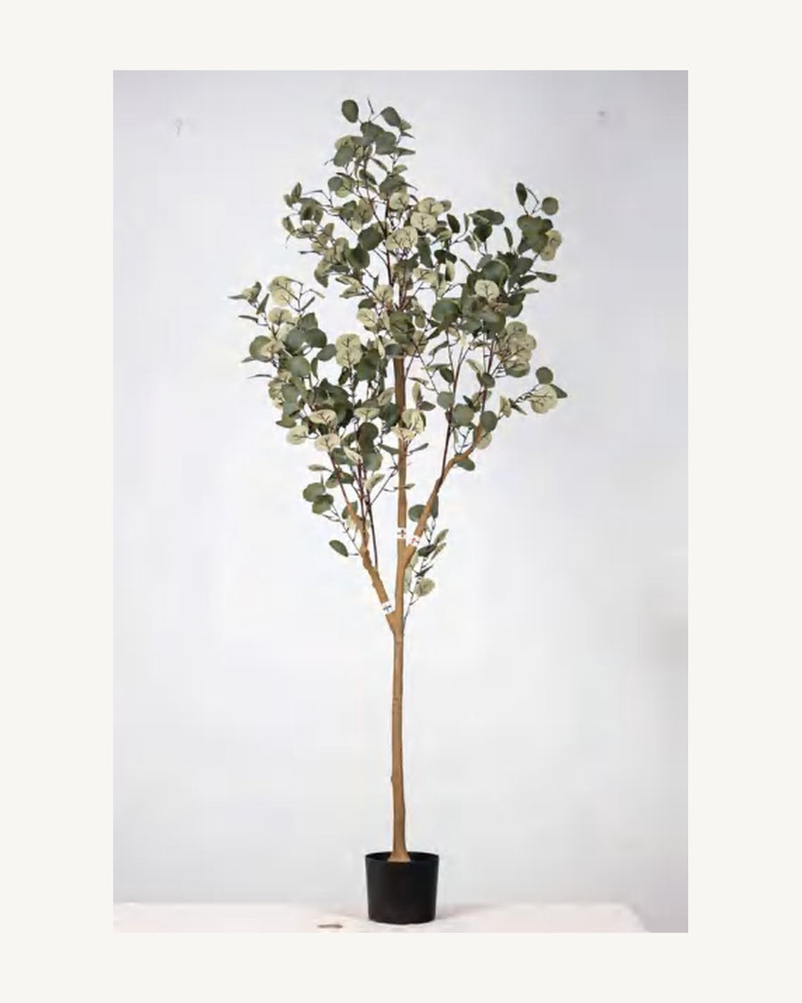 Ligurian Artificial Eucalyptus Tree, 70.8 in