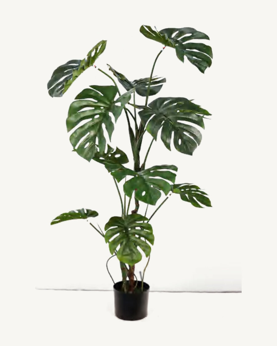 Ligurian Artificial Monstera Plant, 47.2 in