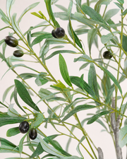 Ligurian Artificial Olive Tree, close-up of artificial foliage and botanical detail