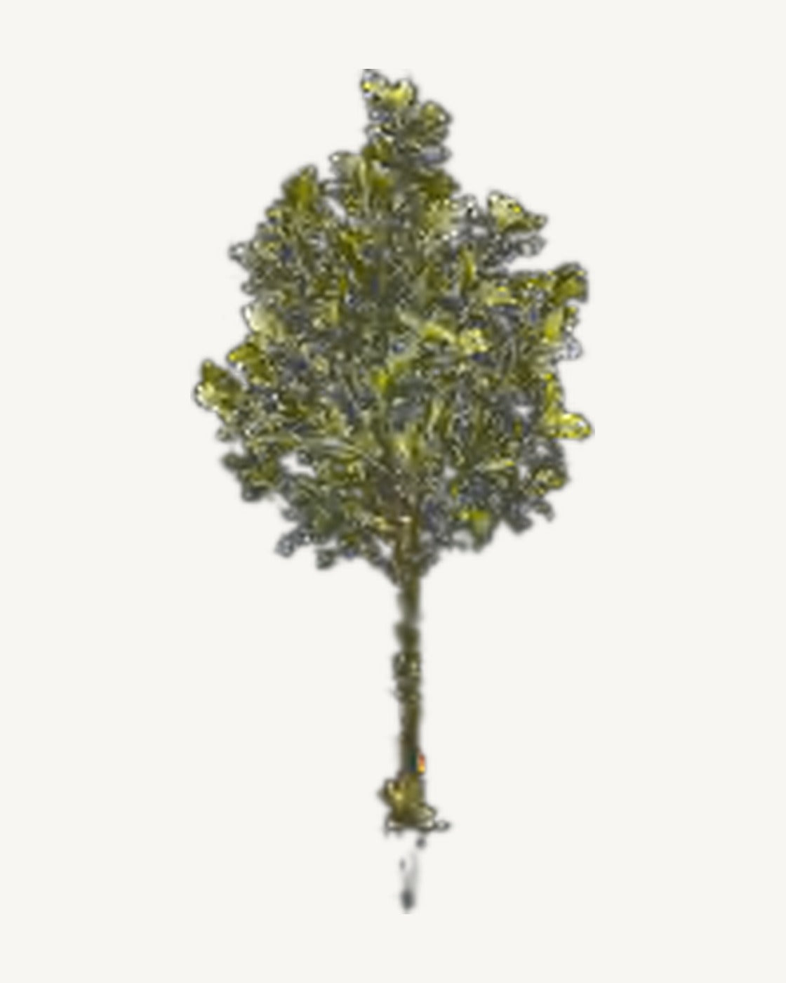 Lourmarin Artificial Olive Tree, full product studio view in the included nursery pot