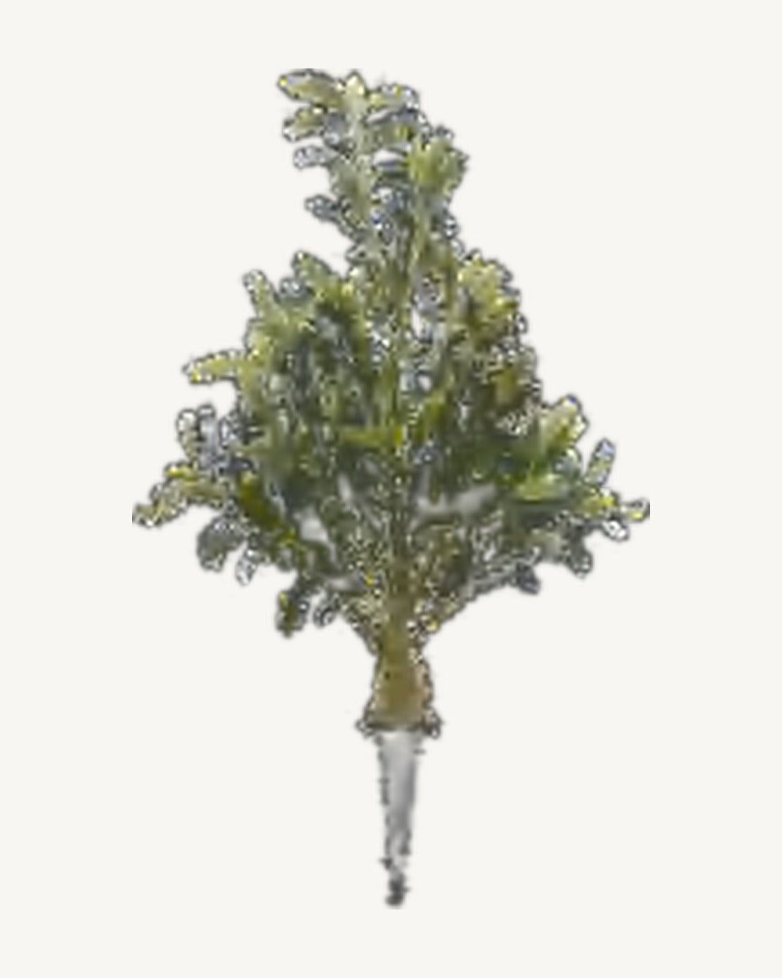 Luberon Artificial Olive Tree, full product studio view in the included nursery pot