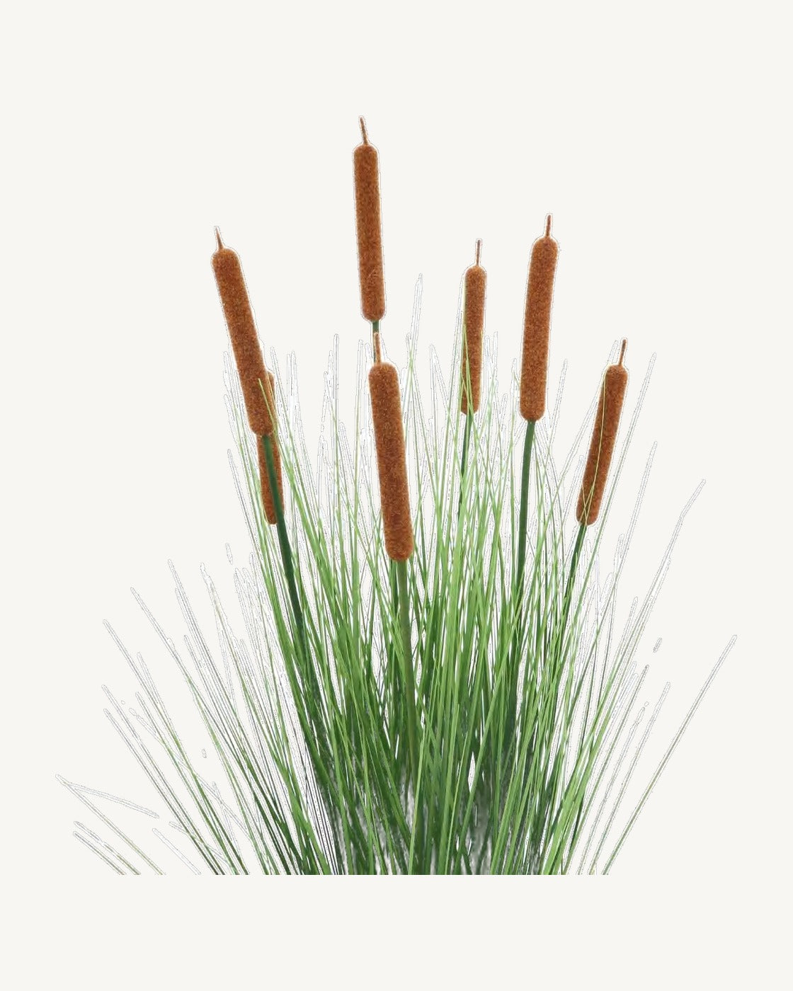 Lucca Artificial Cattail Grass, full product studio view in the included nursery pot