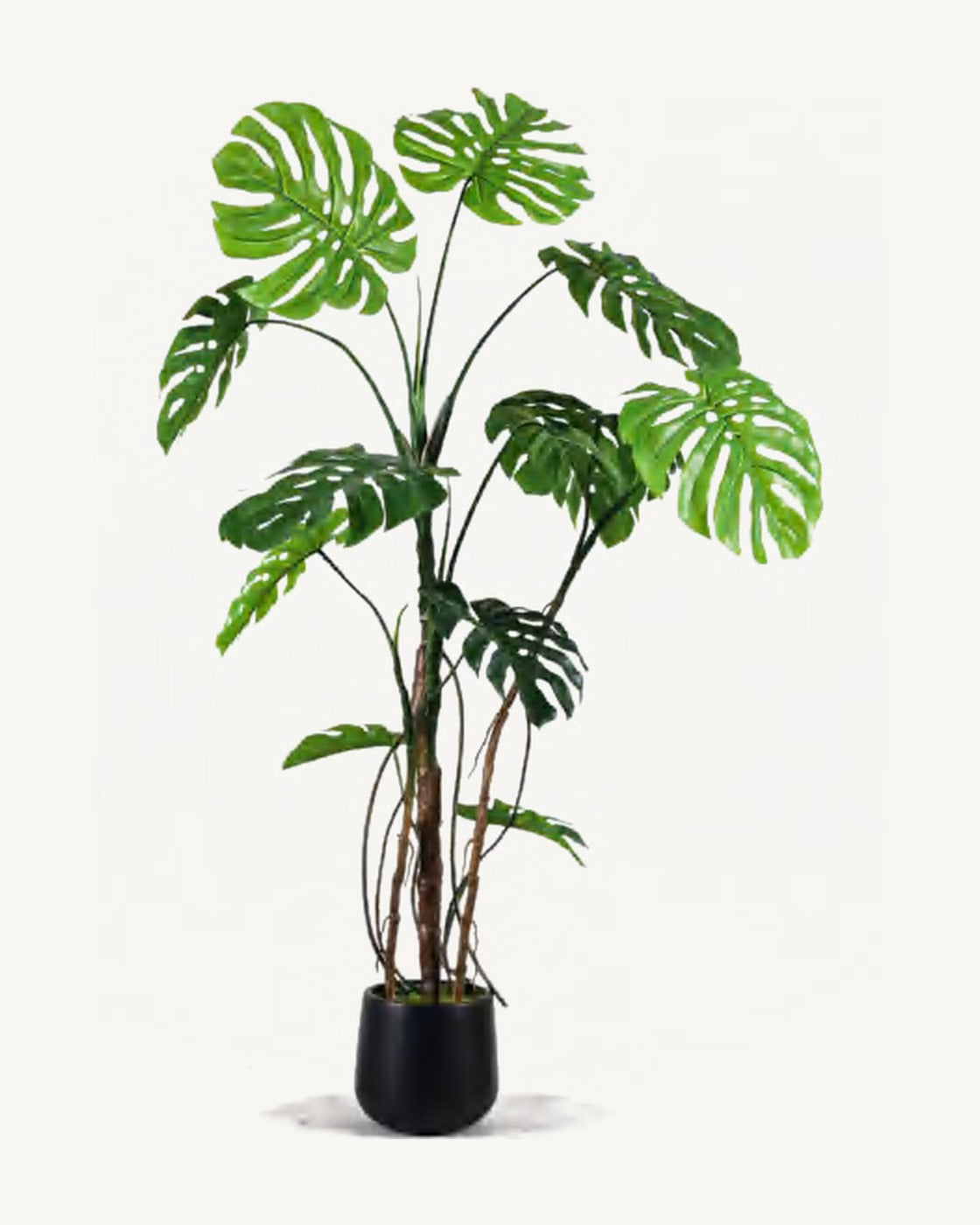 Lucca Artificial Monstera Plant, full product studio view in the included nursery pot